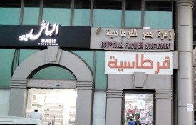 Egyptian flower stationery